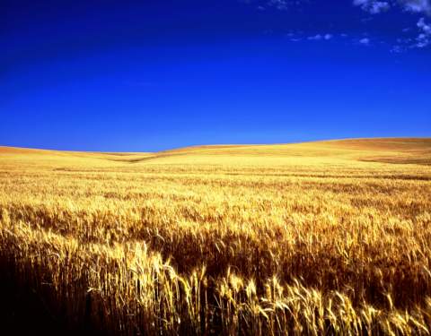 Kansas