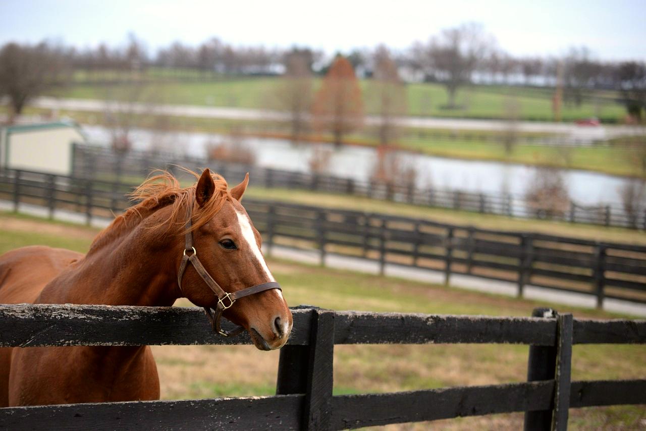 Kentucky
