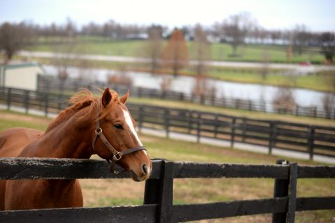 Kentucky