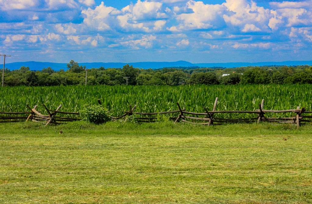 Maryland