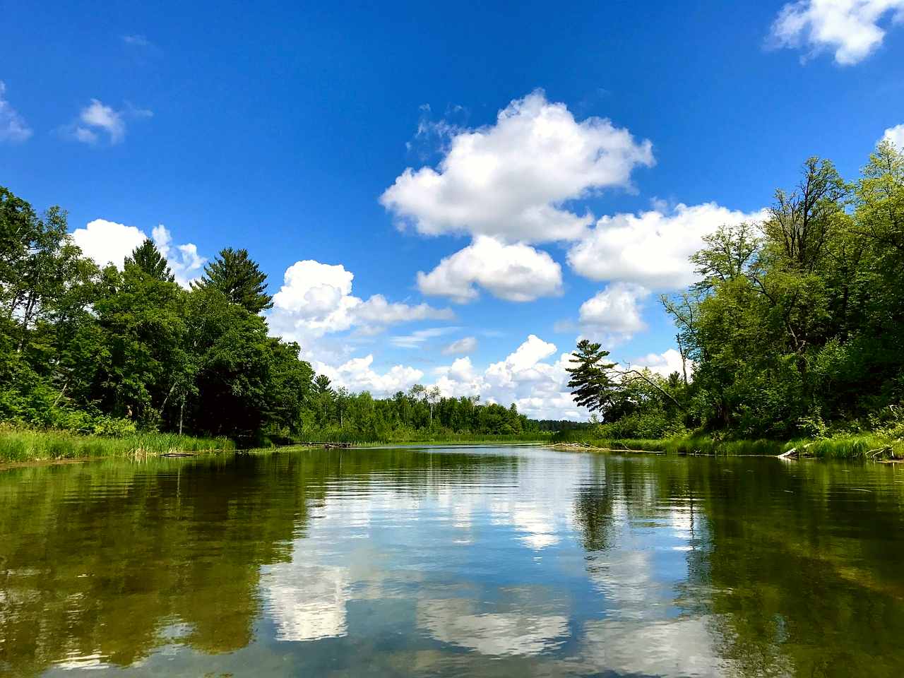 Minnesota