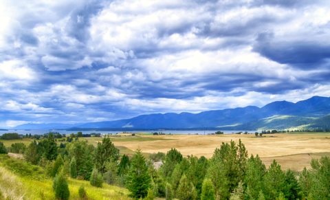 Montana