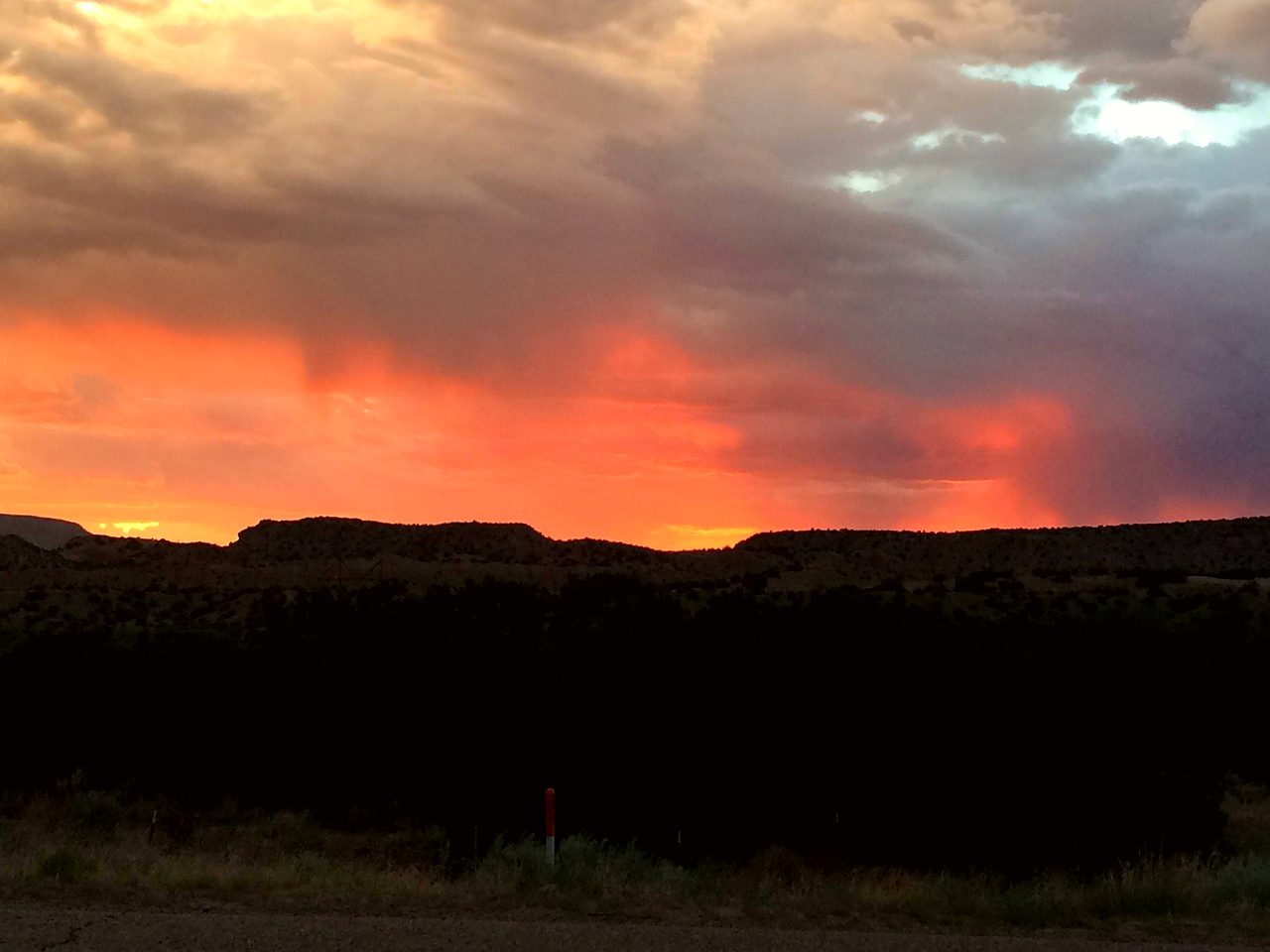 New Mexico