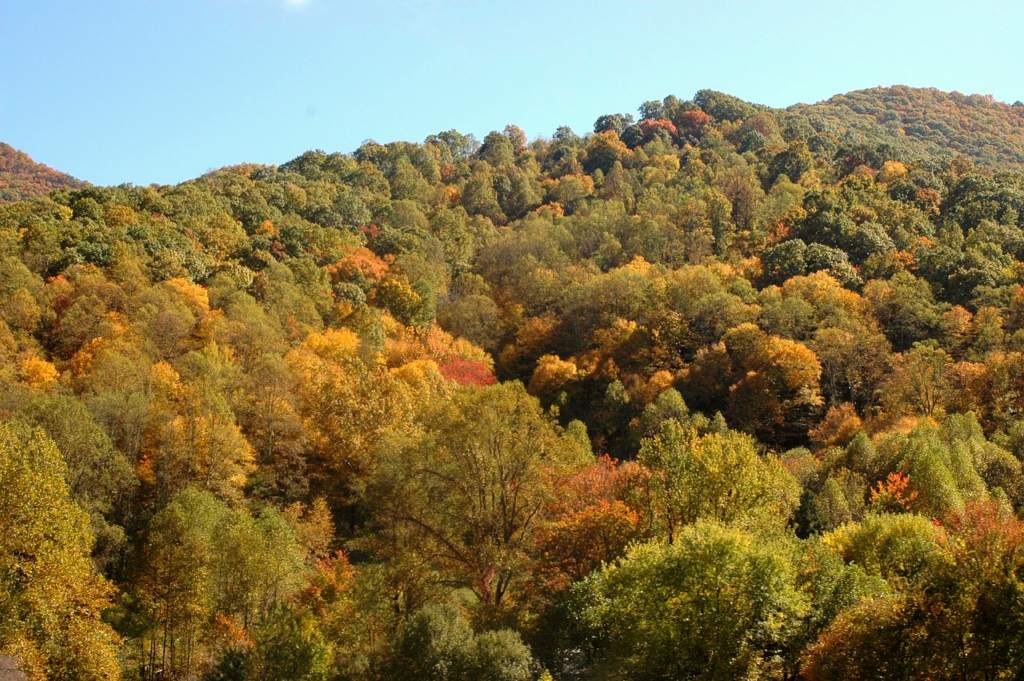 North Carolina