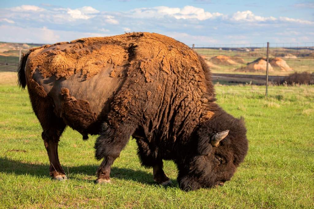 North Dakota