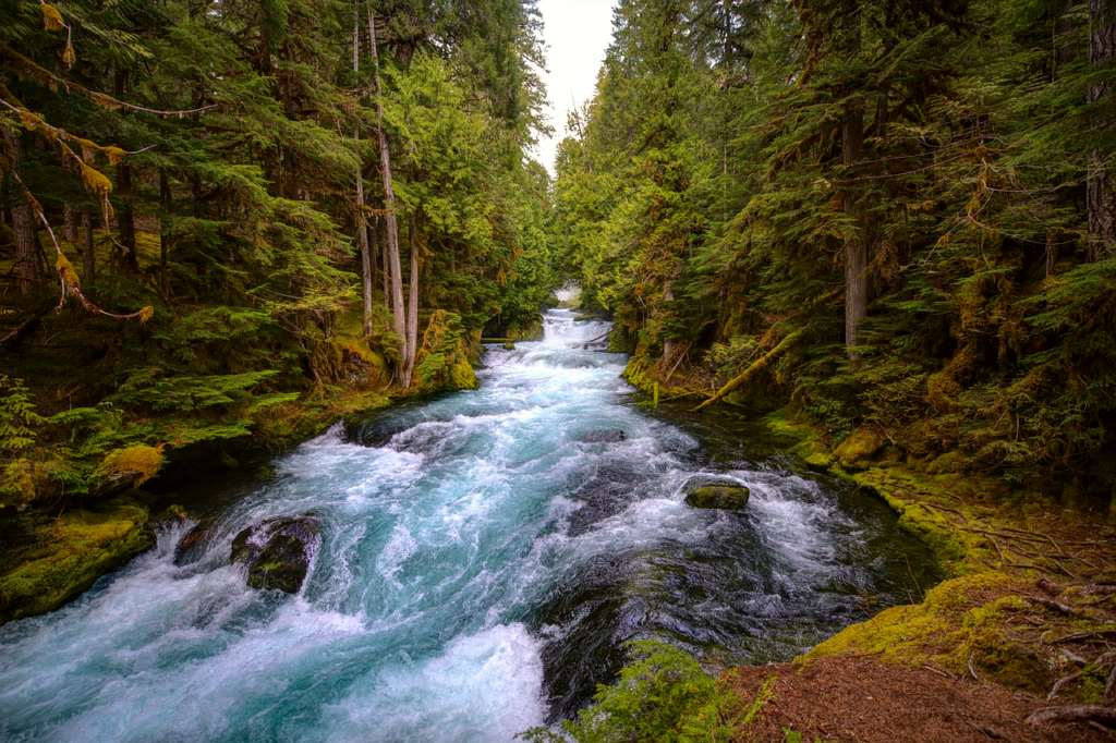 Oregon
