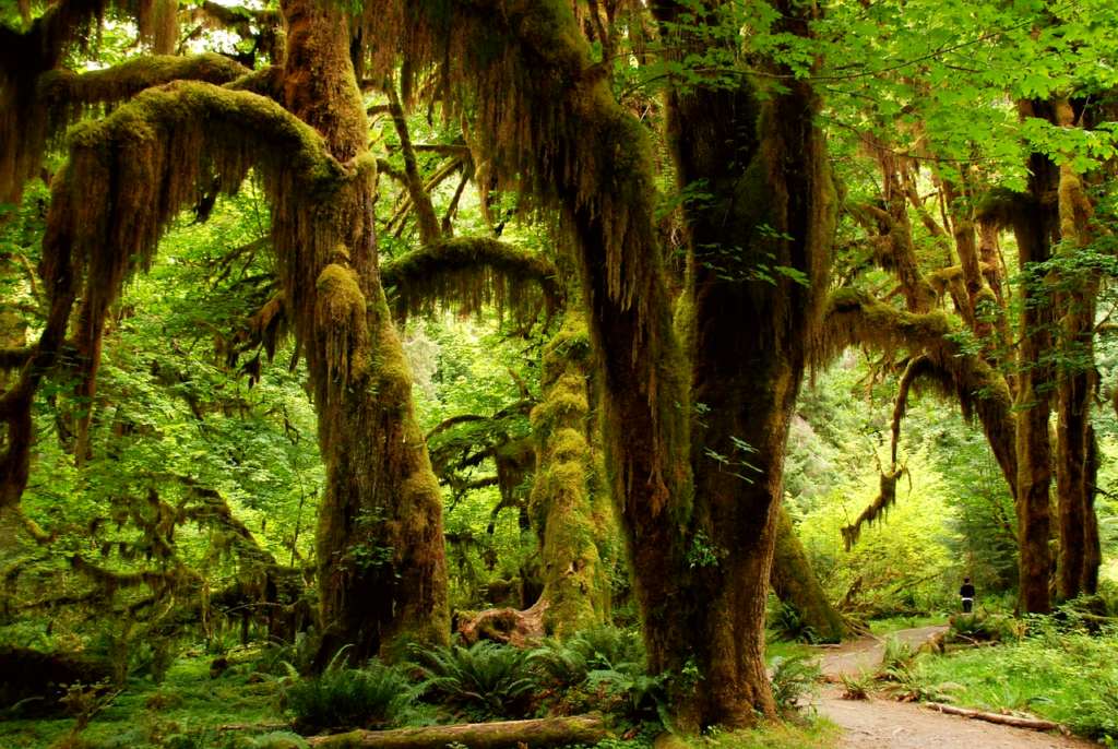 Washington