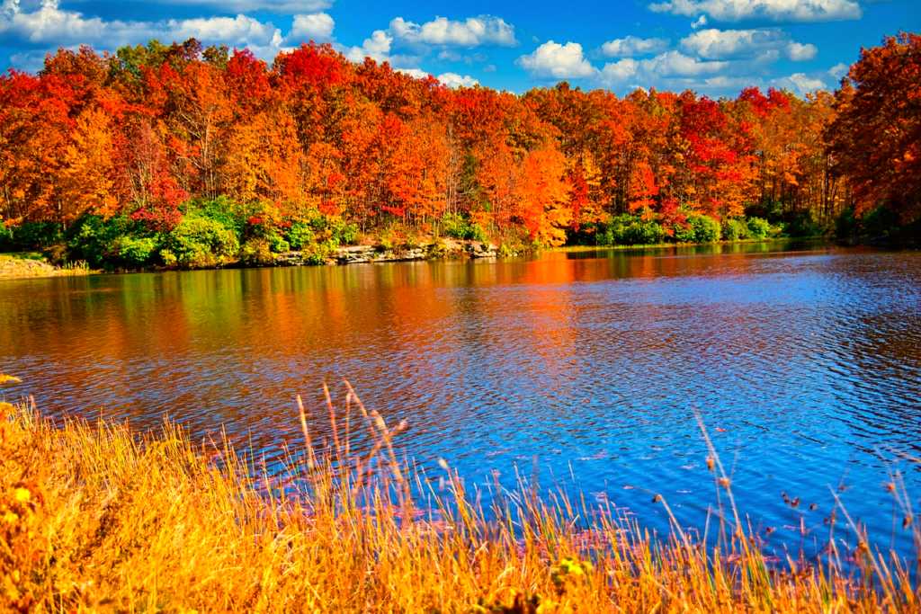 West Virginia
