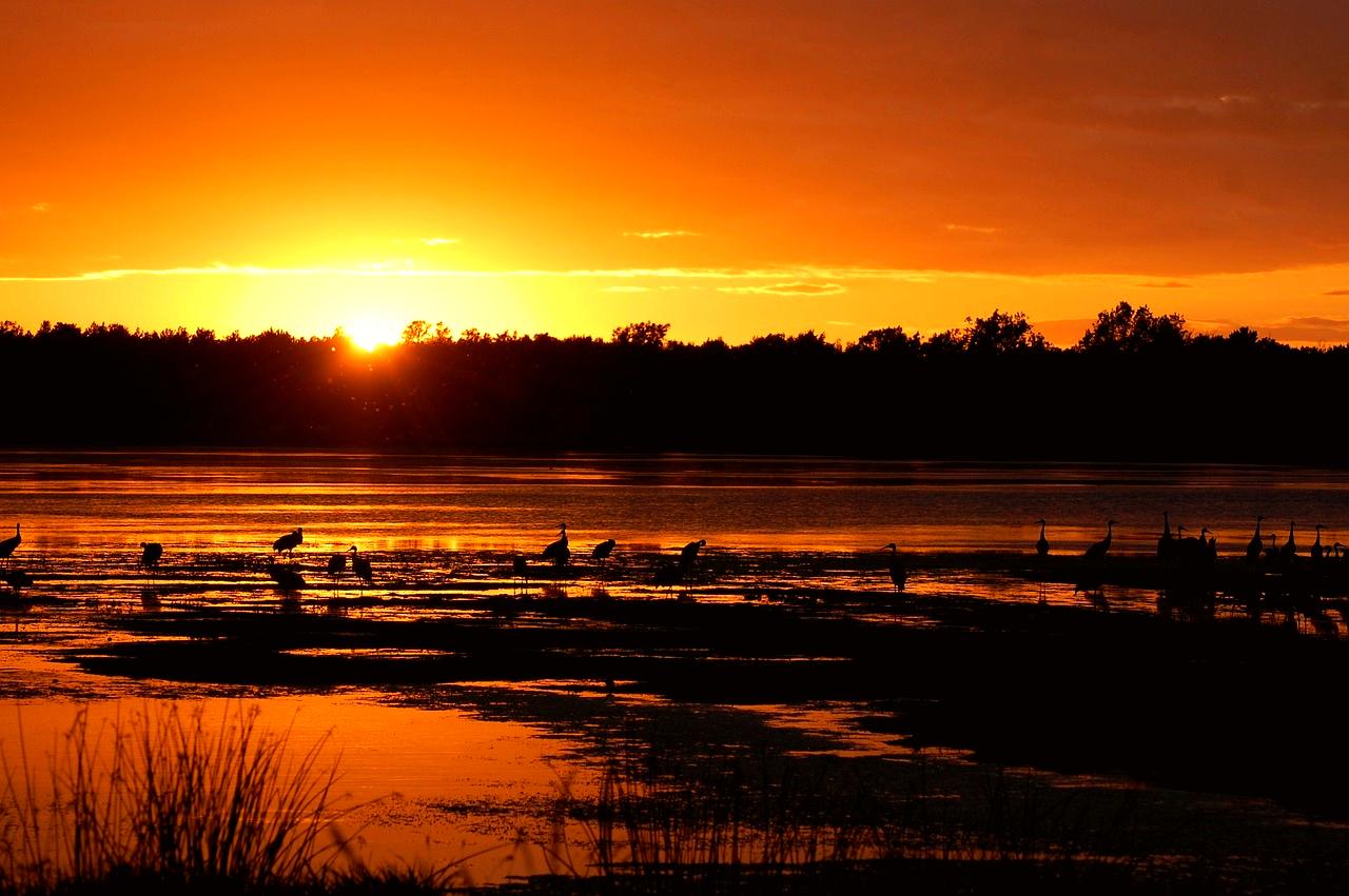 Wisconsin