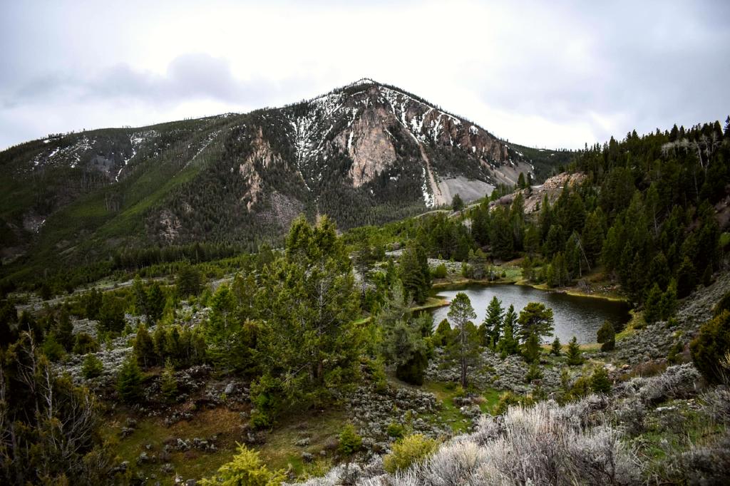 Wyoming