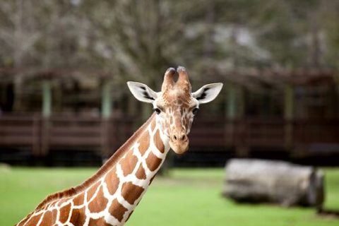 Montgomery Zoo