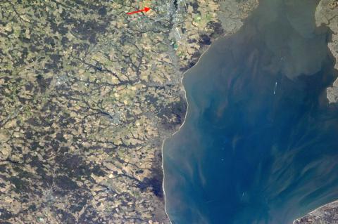 Dover