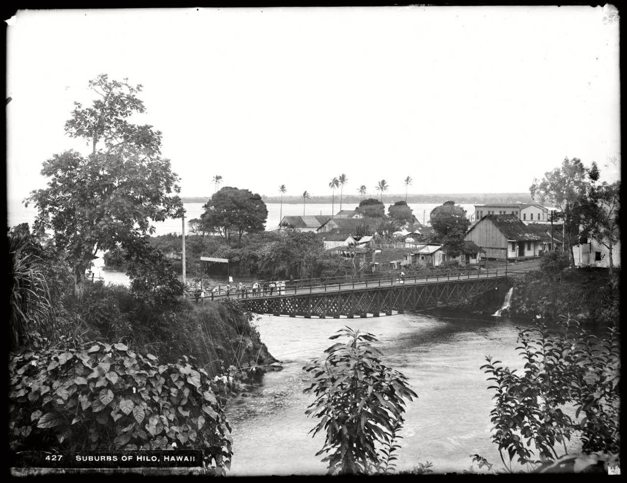 Hilo, Hawaii, 1907