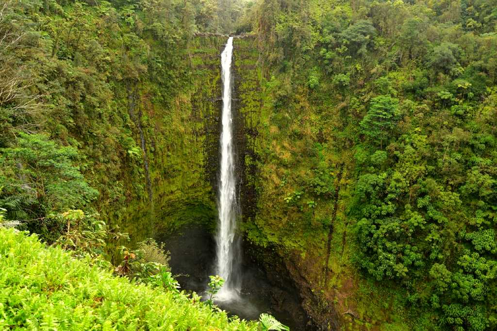 Hilo