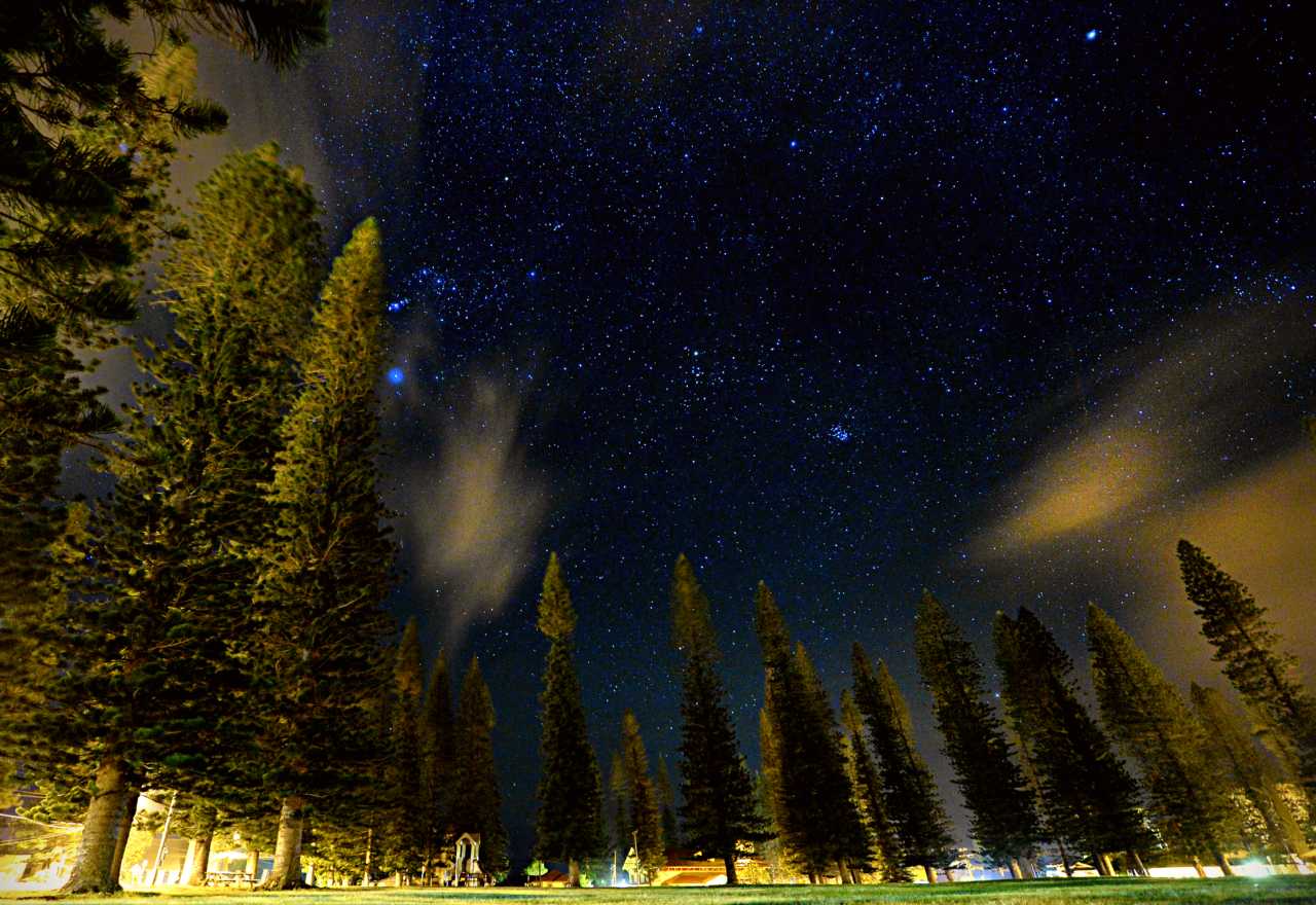 View of the night sky from Dole Park