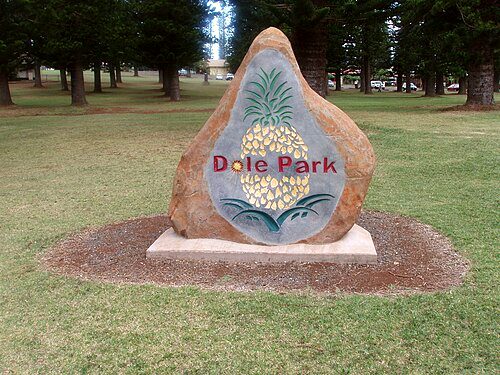 Dole Park