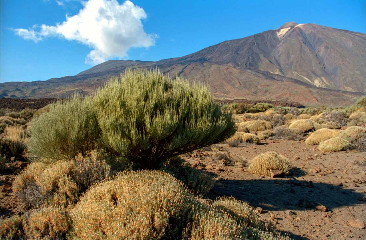 The Teide National Park, on the island of Tenerife is the most visited national park in Spain.[17][18]