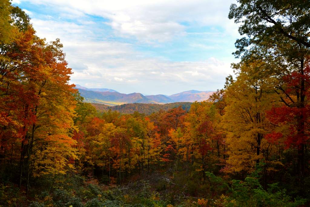 Gatlinburg