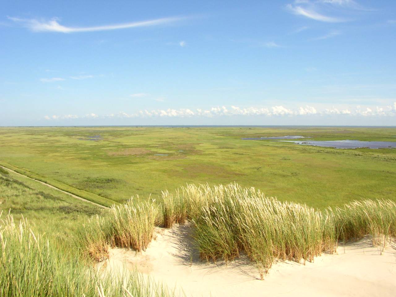 The Boschplaat [nl]