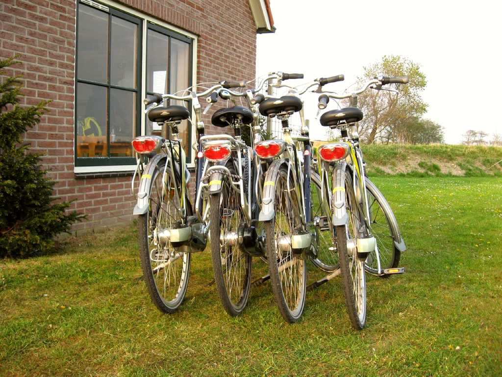 Terschelling