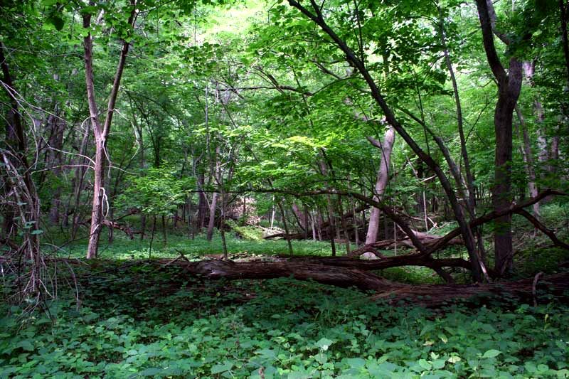 Stone State Park