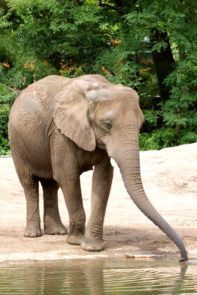 Roger Williams Park Zoo